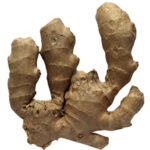 Lush Soil Regenerator Plus for Ginger